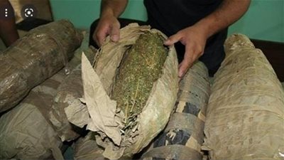 تخصص بانجو.. ضبط شخصين من تجار الصنف في القاهرة