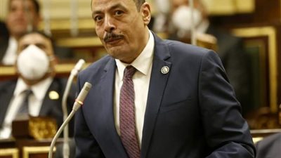 برلماني: الرئيس السيسي وضع روشتة لحل مشكلات الصناعة والاقتصاد في مصر