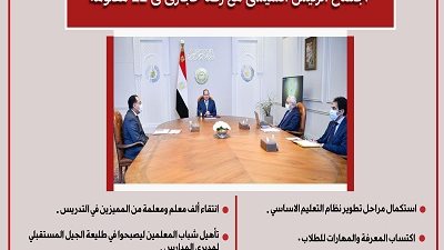 اجتماع الرئيس السيسى مع رضا حجازى فى 12 معلومة..انفوجراف