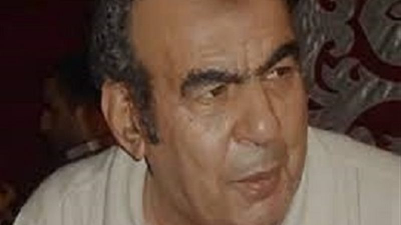 فكري صادق
