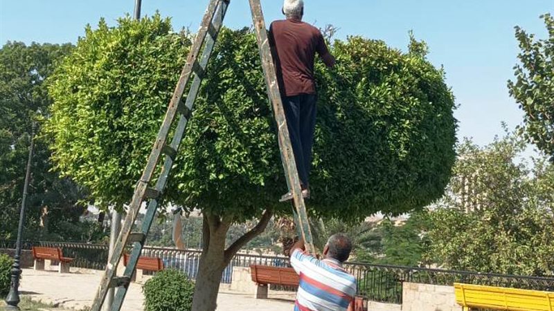 بوابة الجمهورية
