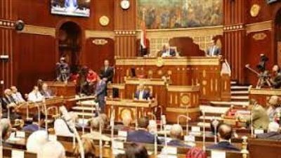 مجلس الشيوخ يوافق على مشروع قانون إنشاء المجلس الأعلى لصناعة السيارات