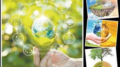 أم الدنيا تقود العالم.. لنشر ثقافة اللون الأخضر لحماية البيئة