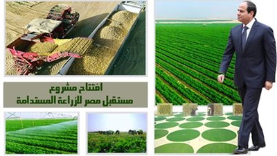 نقيب الزراعيين يكشف أهمية مشروع مستقبل مصر في ظل أزمة الأمن الغذائي العالمي