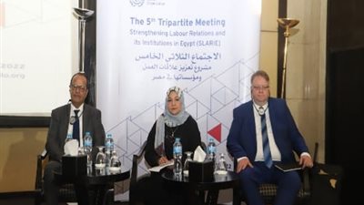 خبراء دوليون يشيدون بقرارات وزير القوى العاملة بشأن تعزيزعلاقات العمل