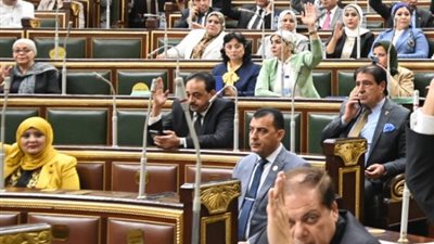 ابو العينين:التعدي على الأراضي الزراعية قضية وعي خطورتها تتضاعف يوميا