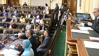 النواب يوافق على منحة تعزيز قدرات مكتب شكاوى المرأة