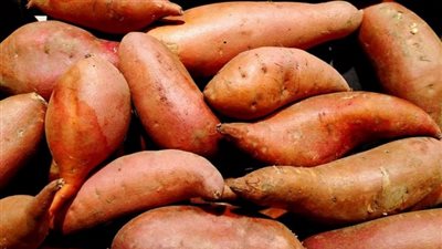 الفوائد الصحية للبطاطا الحلوة