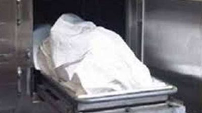 قابيل وهابيل من جديد بالقليوبية ... قتل شقيقة بسبب الخلافات الاسرية