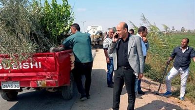 محافظ المنيا: المحليات تواصل جهودها لزراعة الاشجار المثمرة