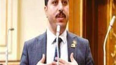 الناظر وتوفيق عضوين بلجنة القيم بمجلس النواب