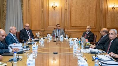 وزيرالإنتاج الحربي يبحث تطوير شركتى أبو زعبل وهليوبوليس للكيماويات