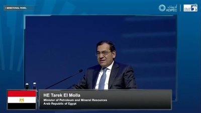 الملا: مصر تتعاون مع شركائها العالميين في مشروعات خفض الانبعاثات