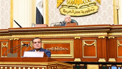مطالب برلمانية لحل مشكلات مخالفات البناء و ورصف وانارة الطرق والصرف