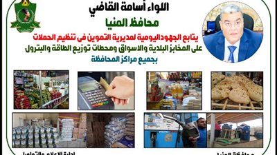 محافظ المنيا: 29 محضر مخالف خلال حملات تفتيشية بـ 3 مراكز
