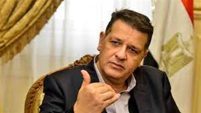 حقوق الانسان بالبرلمان: افتراءات سناء عبد الفتاح تخدم الارهابيين وكارهى الوطن