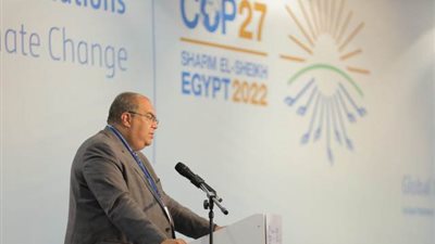 محيي الدين:الاستثمار في أنظمة البيانات يسهم في تحديد الفجوات المالية