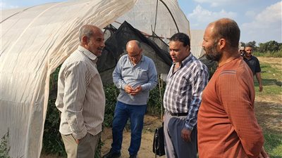 حملة تفتيشية علي تراخيص الصوب الزراعية بالإسماعيلية