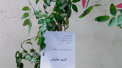 أطفال يشاركون في مبادرة «حديقة الوفاء» لزراعة الأشجار بأسماء الشهداء