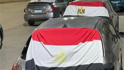 زفة اسماعيلاوى بعلم مصر لتأييد الرئيس السيسي