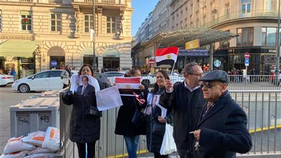 بالهتافات والاعلام..الجالية المصرية بفيينا تدعم مصر والرئيس السيسى