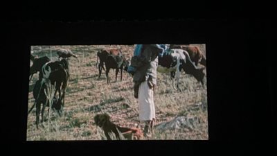 انطلاق عرض فيلم 