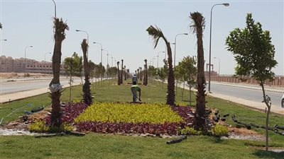 جهاز حدائق أكتوبر يواصل توزيع 1500 شجرة مثمرة على المواطنين