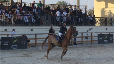 انطلاق منافسات الحلقة الرابعة من بطولة الجمهورية للفروسية