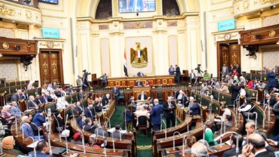 تنسيقية الاحزاب: مصر عانت كثيرا من استخدام الارهاب أجهزة الإتصالات