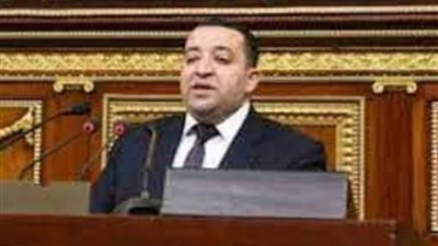 عبدالقادر:هجوم البرلمان الأوربي على مصر استند على الشائعات