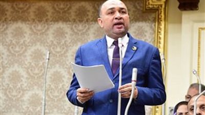 أحمد أبو زيد: بيان البرلمان الأوروبى تدخل سافر في الشأن الداخلي