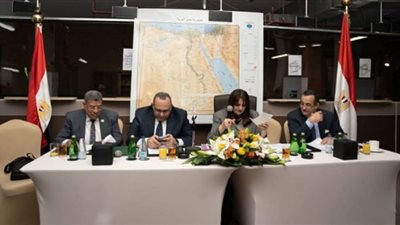 سها جندى: إعفاء سيارات المصريين بالخارج من الجمارك كان حلما لهم
