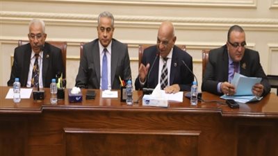 شحاتة يناقش مع لجنة 
