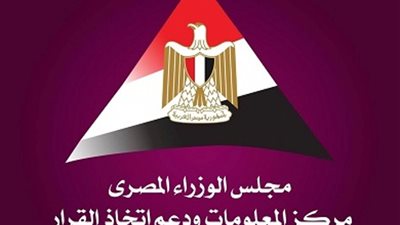 الوزراء: استخدام التمويل المبتكر بمصر يساهم في سد الفجوة التمويلية