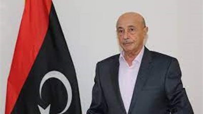 الأمين العام للجامعة العربية يستقبل المستشار عقيلة صالح