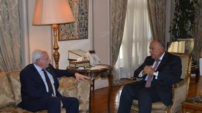 سامح شكري يستقبل نظيره الفلسطيني رياض المالكي