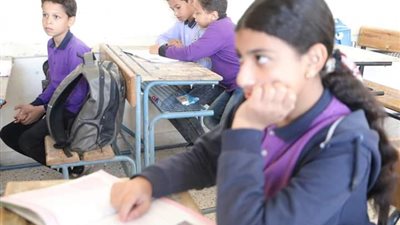 احالة اللغات الرسمية للتحقيق واستبعاد مدير الشركة للتقصير الادارى