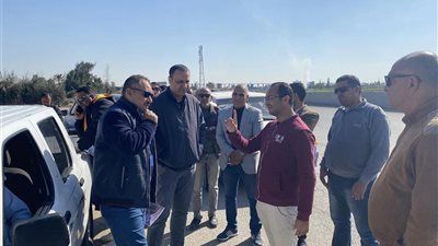 النائب محمد طلبة:تحويل الضغط العالي غرب المعاهدة لكابلات أرضية