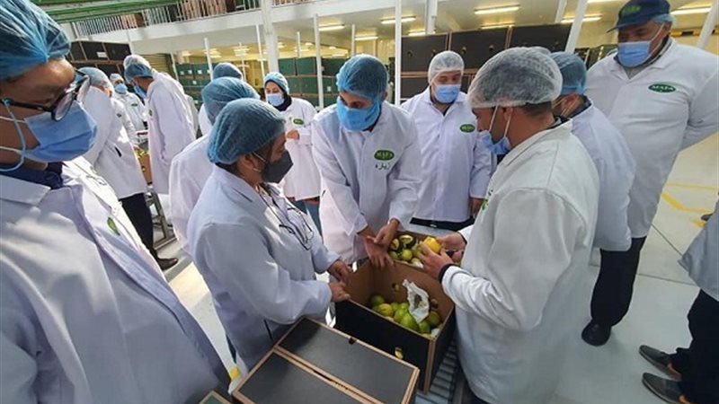 بوابة الجمهورية