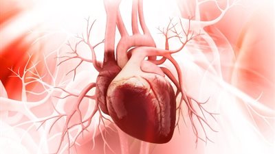 للوقاية من أمراض القلب والأوعية الدموية.. الصحة تحذر من 4 أمور تهدد صحة الإنسان