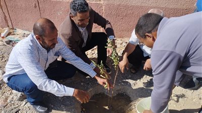 مبادرة شجرة لكل بيت تواصل أعمال بقرية الحمراوين بالقصير