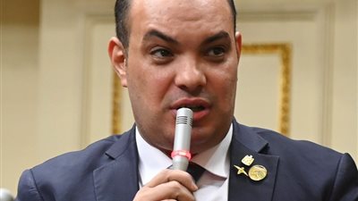 قريطم يطالب بالنظر لرؤية الحكومة فى توطين صناعة السيارات