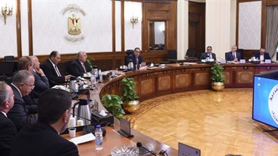 رئيس الوزراء: الدولة لن تقبل بعدم استقرار قطاع صناعة الدواجن