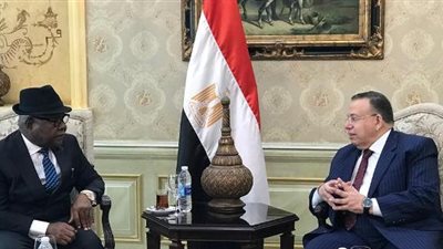 بالصور.. وكيل أول مجلس النواب يودع رئيس برلمان غانا والوفد المرافق بمطار القاهرة