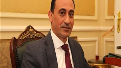 نائب يطالب بنشر المطبات الشوكية بالشوارع والميادين لمنع السير عكس الاتجاه