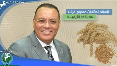توريد ٥٤٢ ألف طن قمحا لصوامع وشون الشرقية
