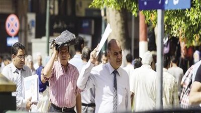 نصائح 