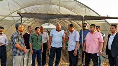 محافظ الوادي الجديد يتفقد احد مشروعات خطة الاكتفاء الذاتي من الخضروات والفاكهه