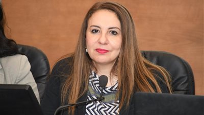 التخطيط: نستهدف إحداث نقلة نوعية في الثقافة التنظيمية للجهاز الإداري للدولة