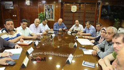 محافظ كفر الشيخ اطلاق التيار الكهربائي على الطريق الدولي خلال أيام